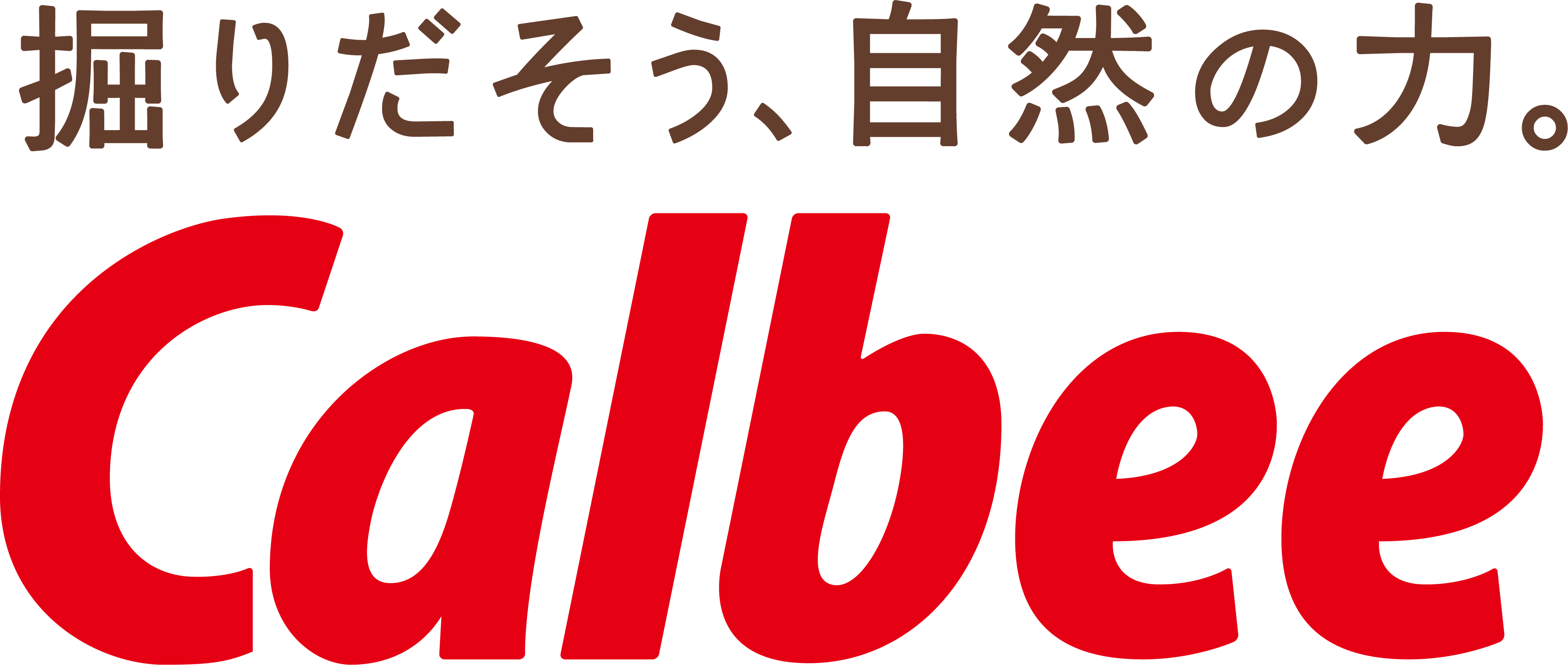 カルビー株式会社