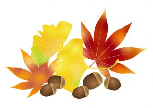10月の食品受贈＆贈呈記録、及び、活動記録です