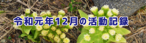 12月の食品受贈（70件・3,031キロ）＆贈呈記録（83件・3,306キロ）及びその他の活動記録です