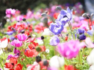 4月の食品及び物品受贈（77件・17254キロ）＆寄贈記録（61施設・16778キロ）及びその他の活動記録です