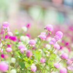 <span class="title">9月の食品及び物品受贈（97件・16700キロ）＆寄贈記録（95施設・22776キロ）及びその他の活動記録です</span>