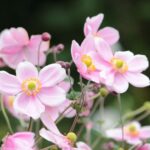 <span class="title">10月の食品及び物品受贈（92件・18267キロ）＆寄贈記録（86施設・8506キロ）及びその他の活動記録です</span>