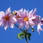 <span class="title">11月の食品及び物品受贈（83件・12904キロ）＆寄贈記録（75施設・13554キロ）及びその他の活動記録です</span>