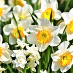 <span class="title">1月の食品及び物品受贈（70件・9657キロ）＆寄贈記録（55施設・8839キロ）及びその他の活動記録です</span>